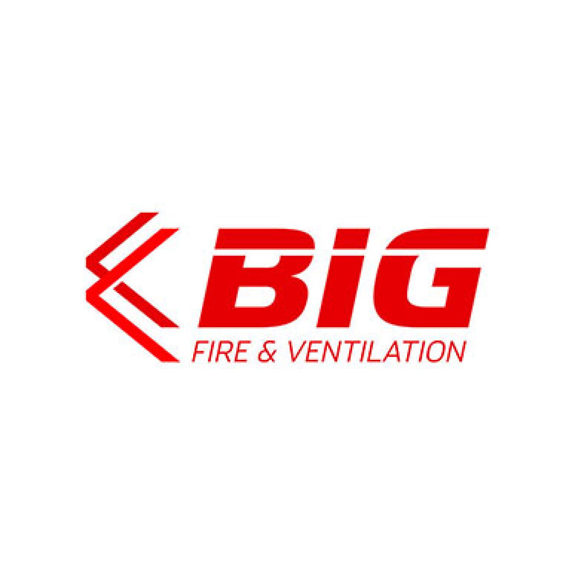 BIG Logo
